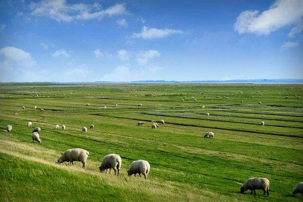 10. Nordfriesland - Umgebung