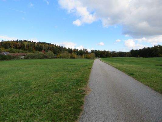 Alleinlage mit guter Zufahrt 