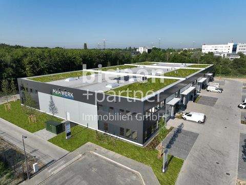 Mönchengladbach Halle, Mönchengladbach Hallenfläche