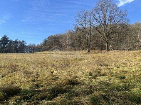 Minihof-Liebau Grundstücke, Minihof-Liebau Grundstück kaufen