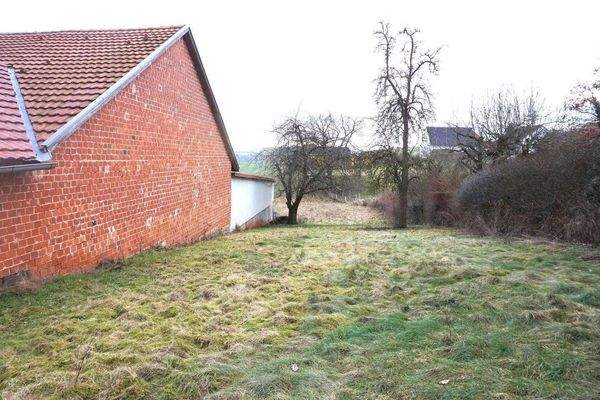 Garten bzw angrenzende Wiese.JPG