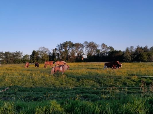 Blick auf die landwirtschaftlichen Flächen