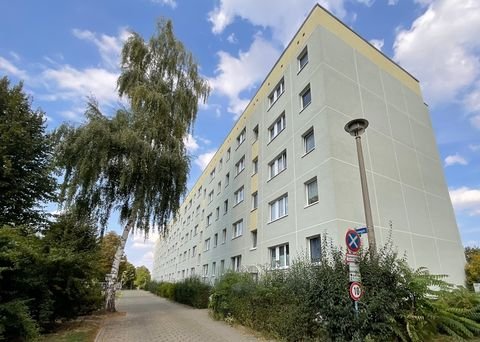 Magdeburg / Stadtfeld West Wohnungen, Magdeburg / Stadtfeld West Wohnung kaufen