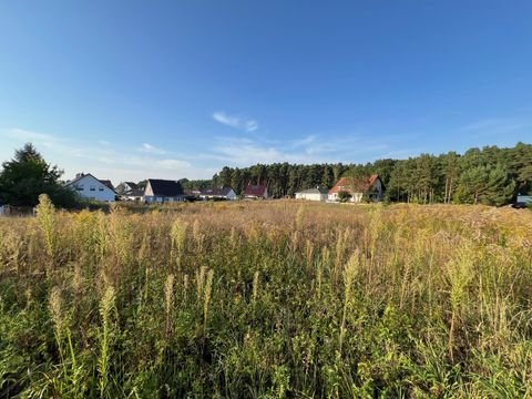 Reichenwalde Grundstücke, Reichenwalde Grundstück kaufen