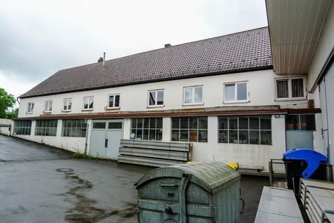 Eggolsheim Halle, Eggolsheim Hallenfläche