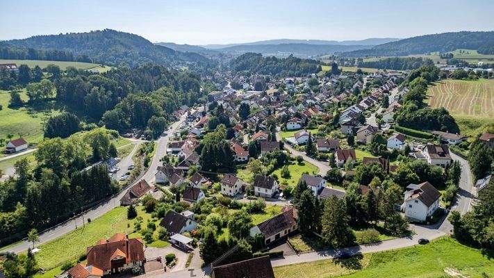 Luftbild Richtung Stockach