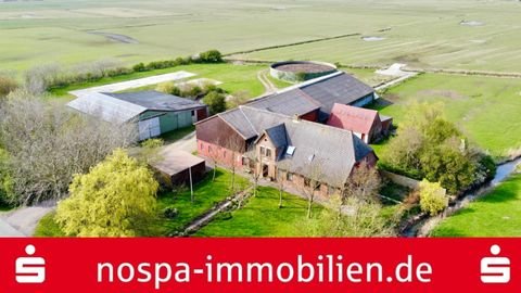 Pellworm Häuser, Pellworm Haus kaufen