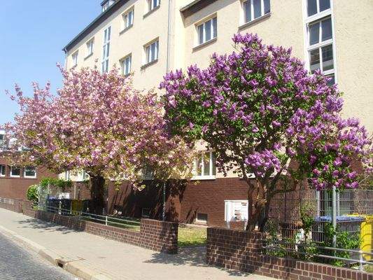 Haus Bremer von vorne April 2011.JPG