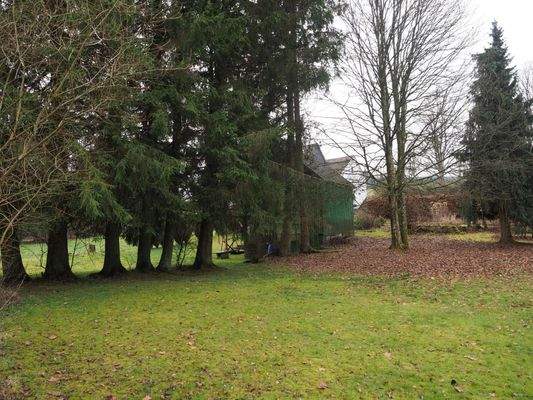Baumbestand auf dem Grundstück