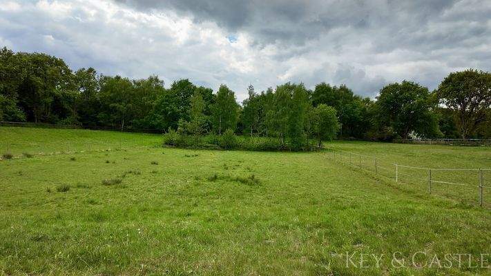 arrondiertes Weideland 