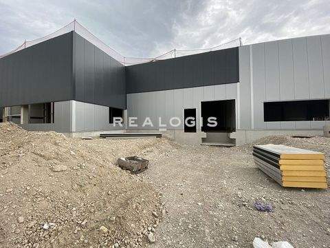 Zwickau Halle, Zwickau Hallenfläche