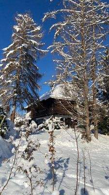 Bild 12