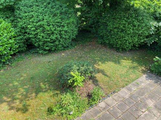 Blick in den Garten
