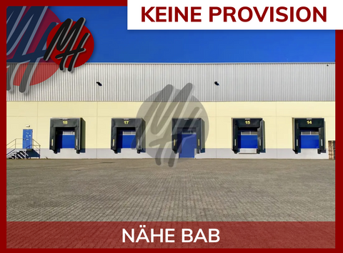 Gensingen Halle, Gensingen Hallenfläche