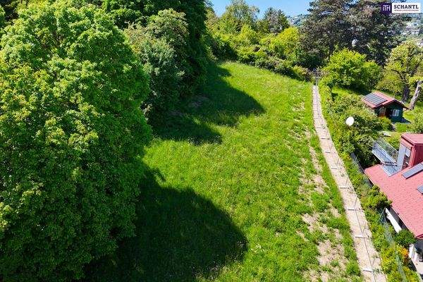 Grundstück, westliche Seite