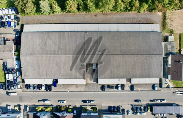 INFOS UNTER: 06171-586000