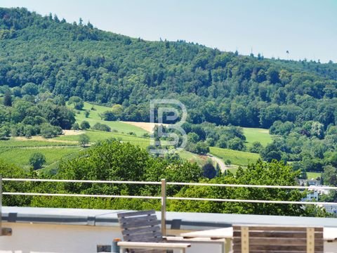 Freiburg im Breisgau Häuser, Freiburg im Breisgau Haus kaufen