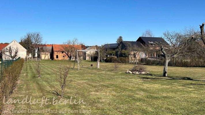 Großes, gepflegtes Grundstück - Blick nach Norden