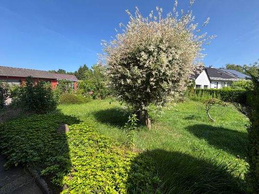 Gemeinschaftsgarten 1