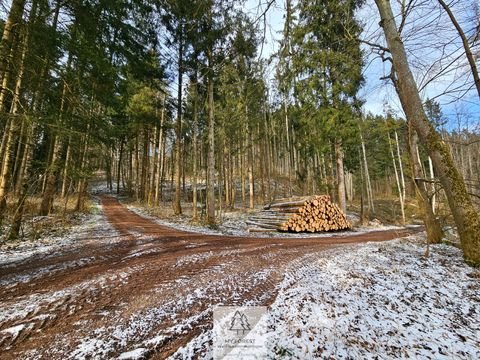 Ursberg Bauernhöfe, Landwirtschaft, Ursberg Forstwirtschaft