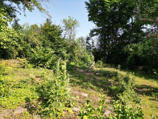 Teilansicht vom Grundstück