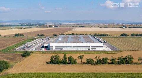 Voderady Halle, Voderady Hallenfläche