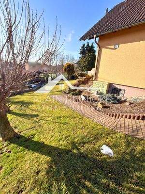 Weg in den Garten ums Haus