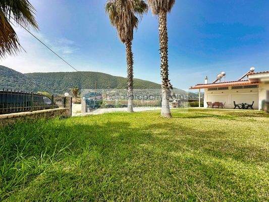 img_c2cf3683-36af-4de0-a455-b66d8341b9e3