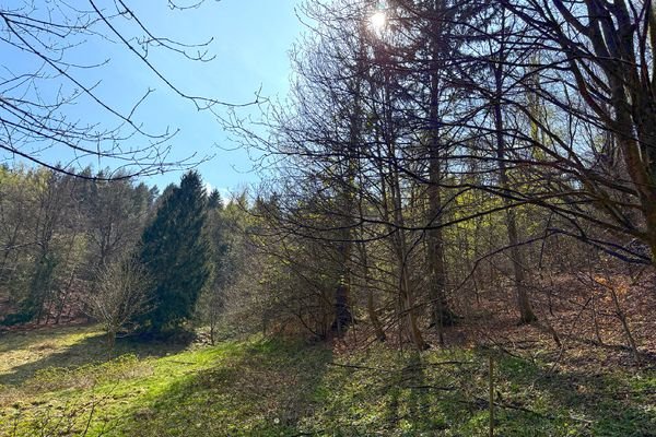 Blick aufs Grundstück