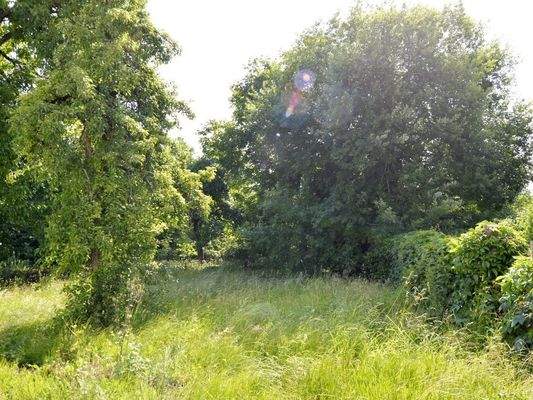 weitläufiger Garten