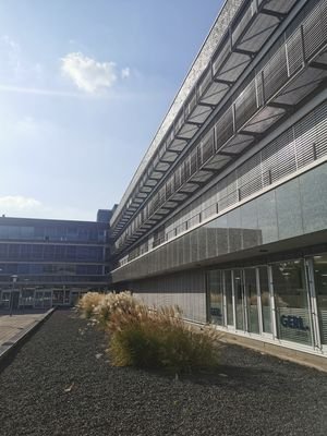 Bild (1).jpg