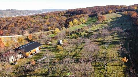 Unterbergern Bauernhöfe, Landwirtschaft, Unterbergern Forstwirtschaft