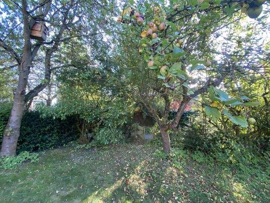 Garten mit leckeren Obstbäumen