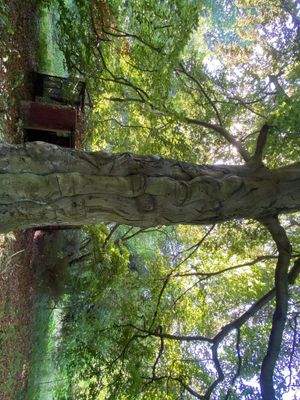 Schlosspark (15).JPG