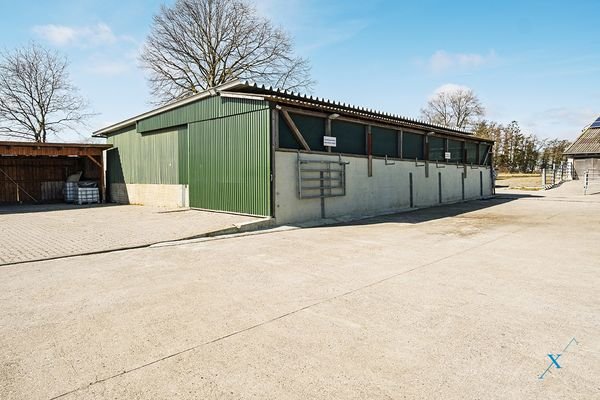 Jungviehstall
