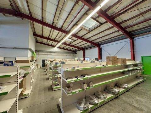 Neuwied Halle, Neuwied Hallenfläche