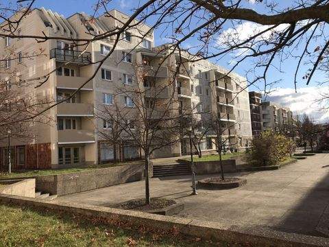 Halle (Saale) Wohnungen, Halle (Saale) Wohnung mieten