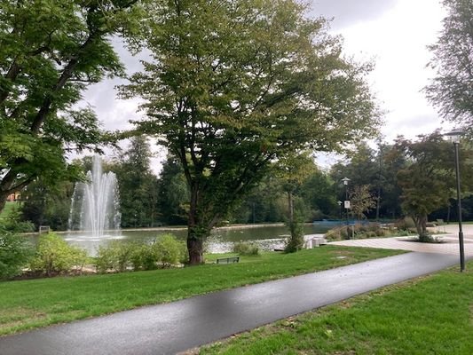 Wunderschöne Ausblicke in den Kurpark!