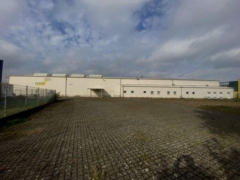 Hörstel Halle, Hörstel Hallenfläche