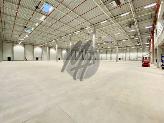 INFOS UNTER: 06171-586000