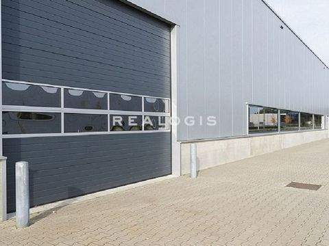 Schwabach Halle, Schwabach Hallenfläche