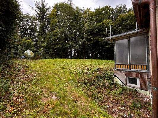 18 - seitlicher Blick in den Garten.JPEG