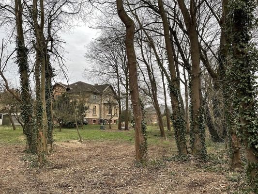 Garten hinter Villa