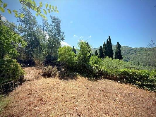 AP_1026_TERRA ITALIA IMMOBILIEN_LIGURIEN_APRICALE_