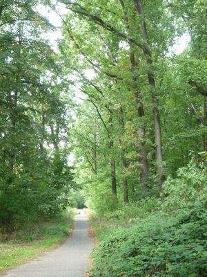 Herrlich am Waldrand