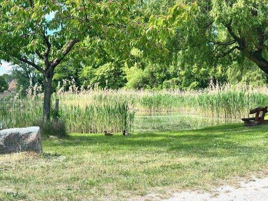 Dorfteich von Ihlow.jpg