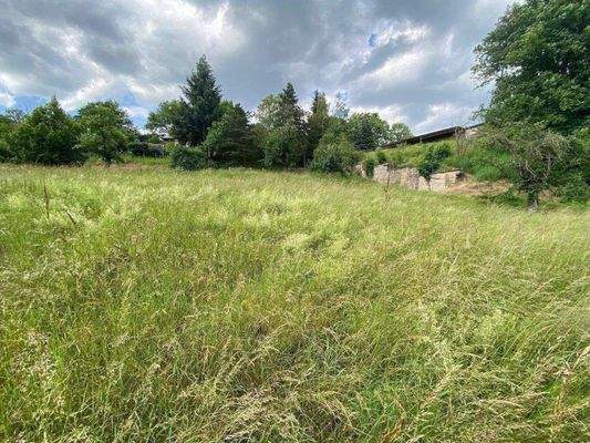 Hangaufwärts Richtung Norden.jpg