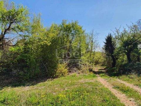 Sveti Lovrec Bauernhöfe, Landwirtschaft, Sveti Lovrec Forstwirtschaft