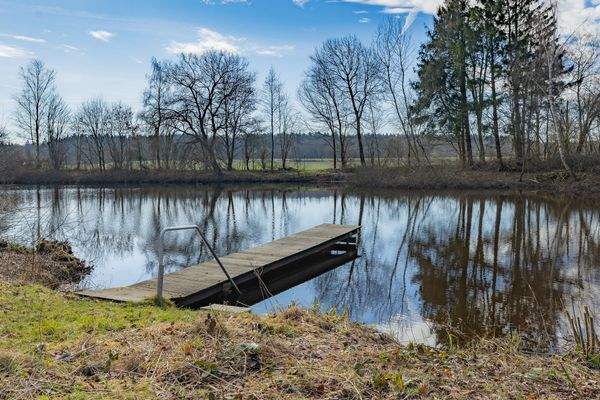 Zugang zum Teich