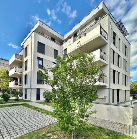 Dresden Wohnungen, Dresden Wohnung kaufen